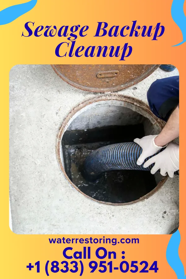 Sewage Backup Cleanup in Golden View Colony, SD